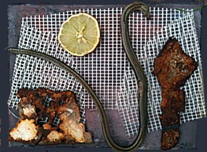 Collage mit Gitter, Rost, Schlange und Zitronensonne, 25,3,2013