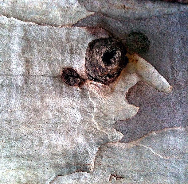 photo 45 Quadrat (2)