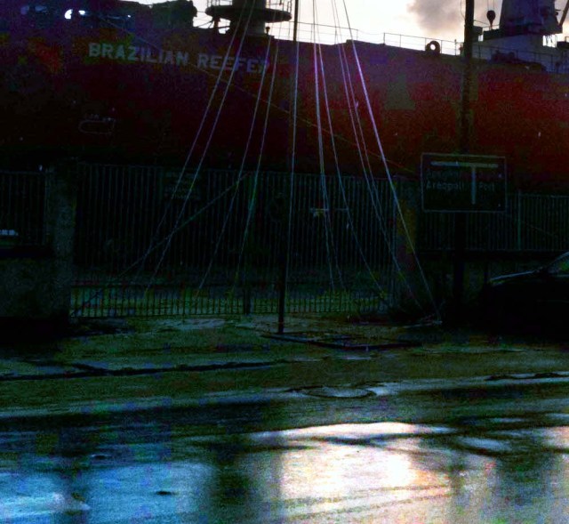 IMG_9325 Brazilian Reefer