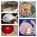 e8699f8009c7e1b86b881a87f33c99c0