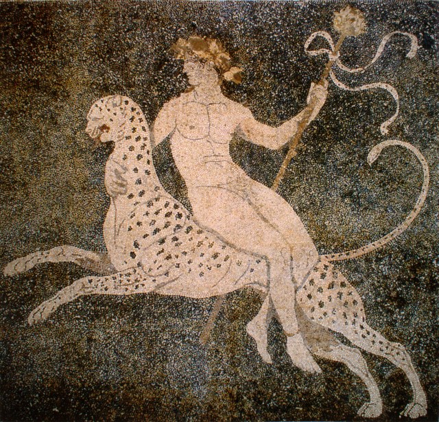 dionysos_on_a_cheetah_pella_greece