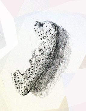 IMG_2812aaa IMG_2812aaa