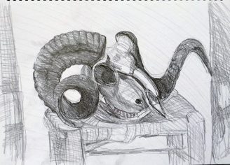 Widderkopf, Bleistift (Gerda)